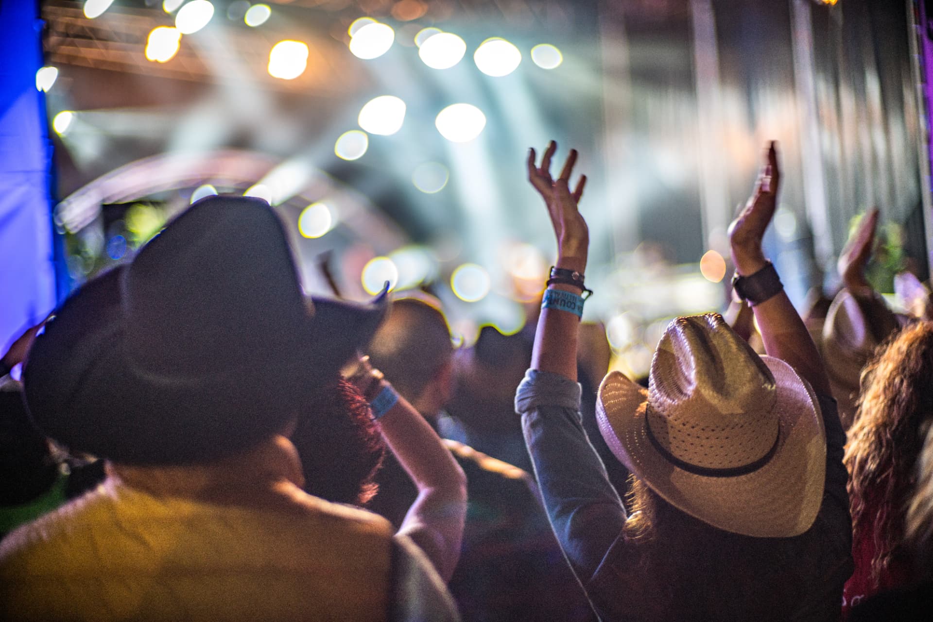 Country music fans at a live concert